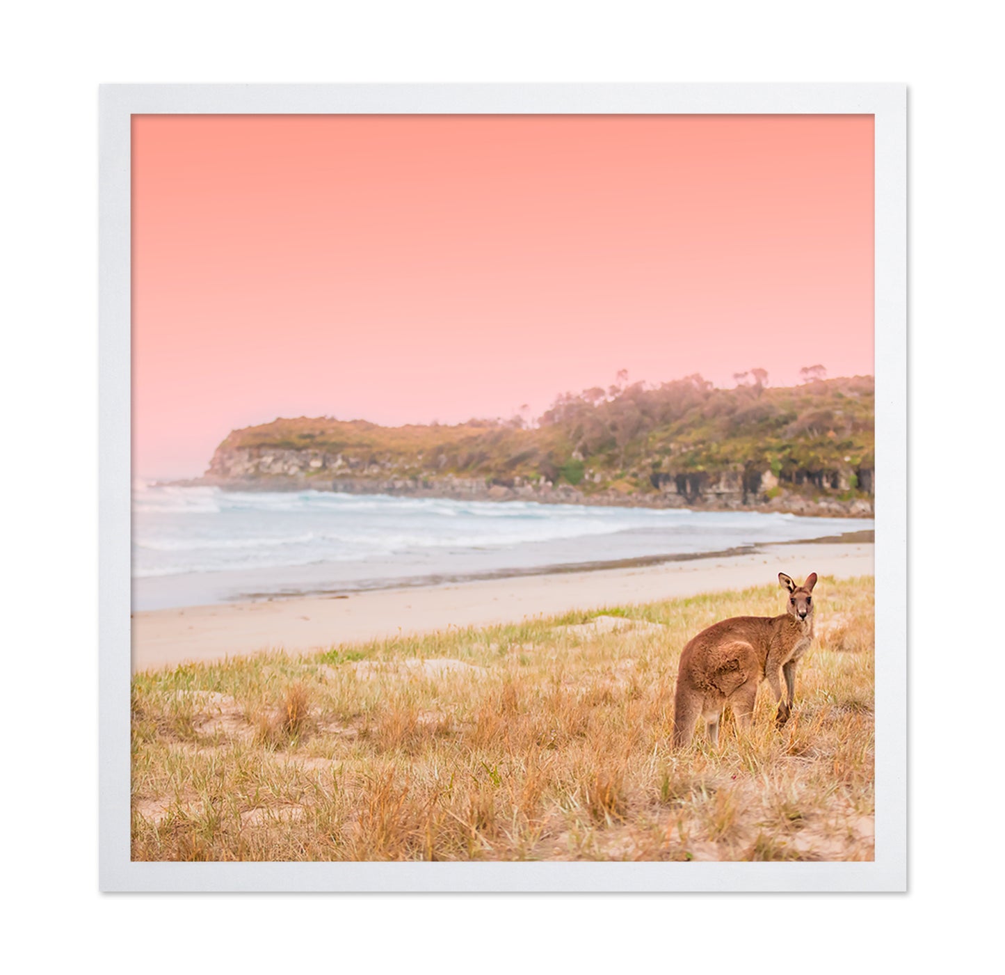 Kangaroo On A Sunset Beach