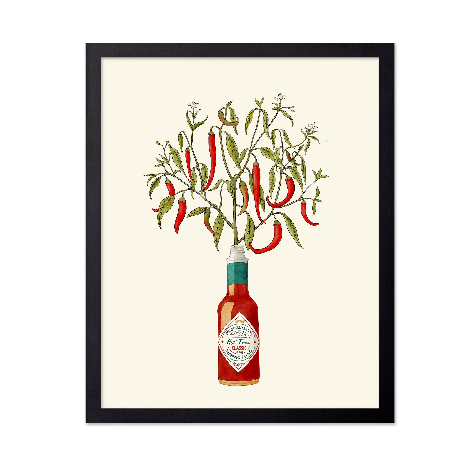 Chili Pepper Plant