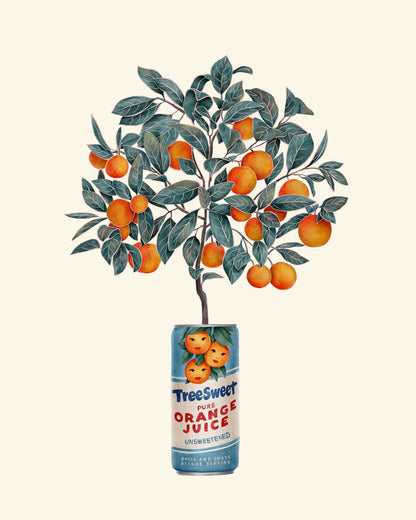Orange Tree in a Can