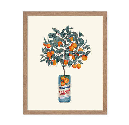 Orange Tree in a Can