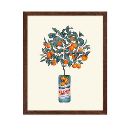 Orange Tree in a Can