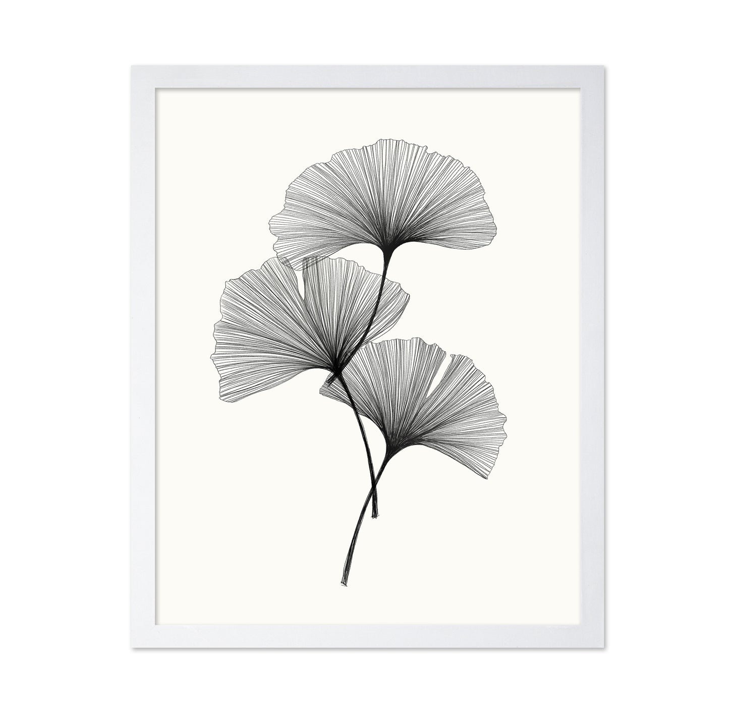Ginkgo Leaves