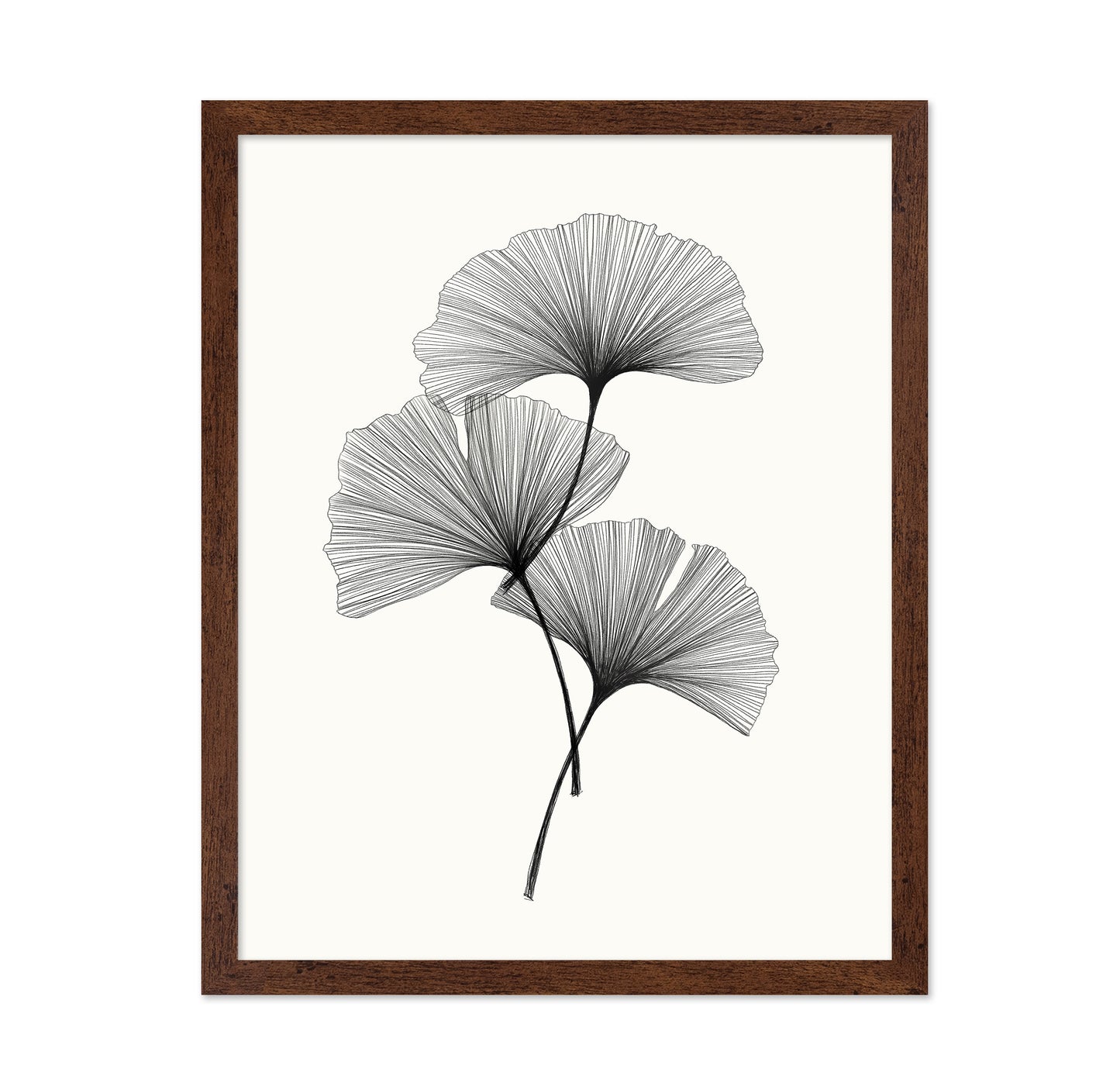 Ginkgo Leaves