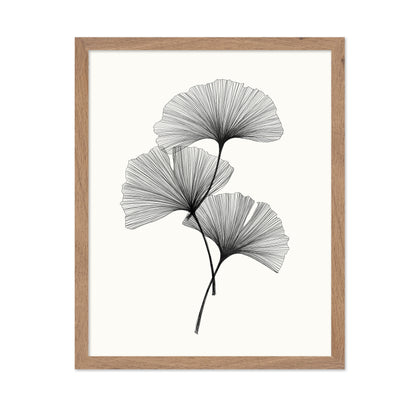 Ginkgo Leaves