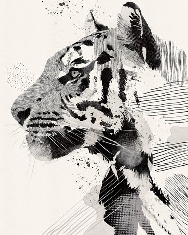 Monochrome Tiger