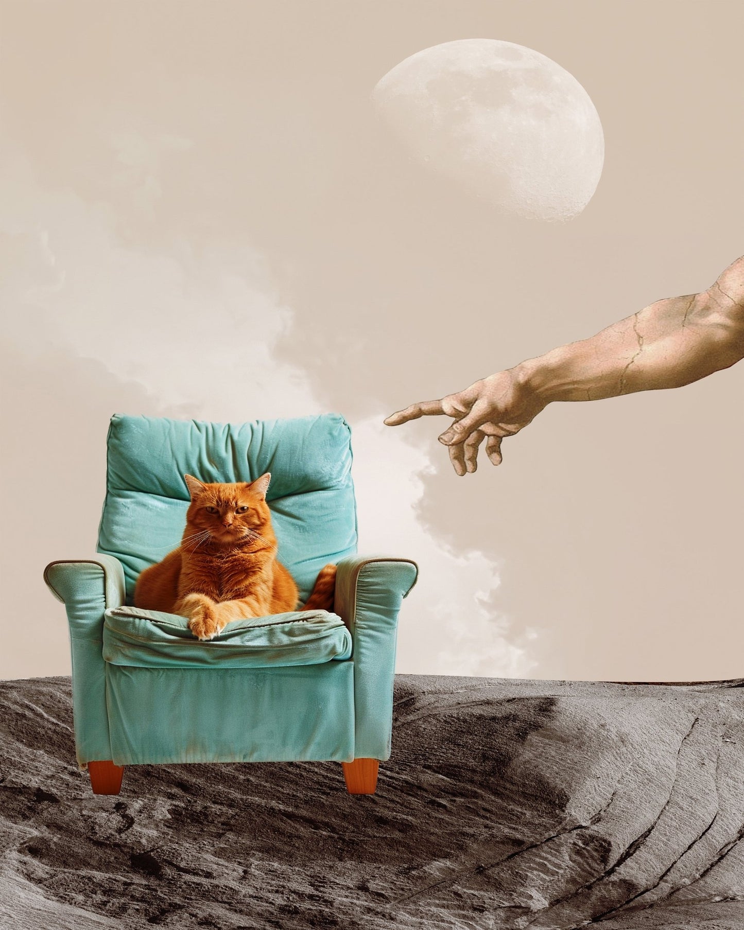 Divine Cat