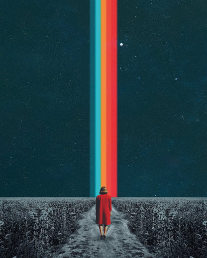 Follow Your Own Path