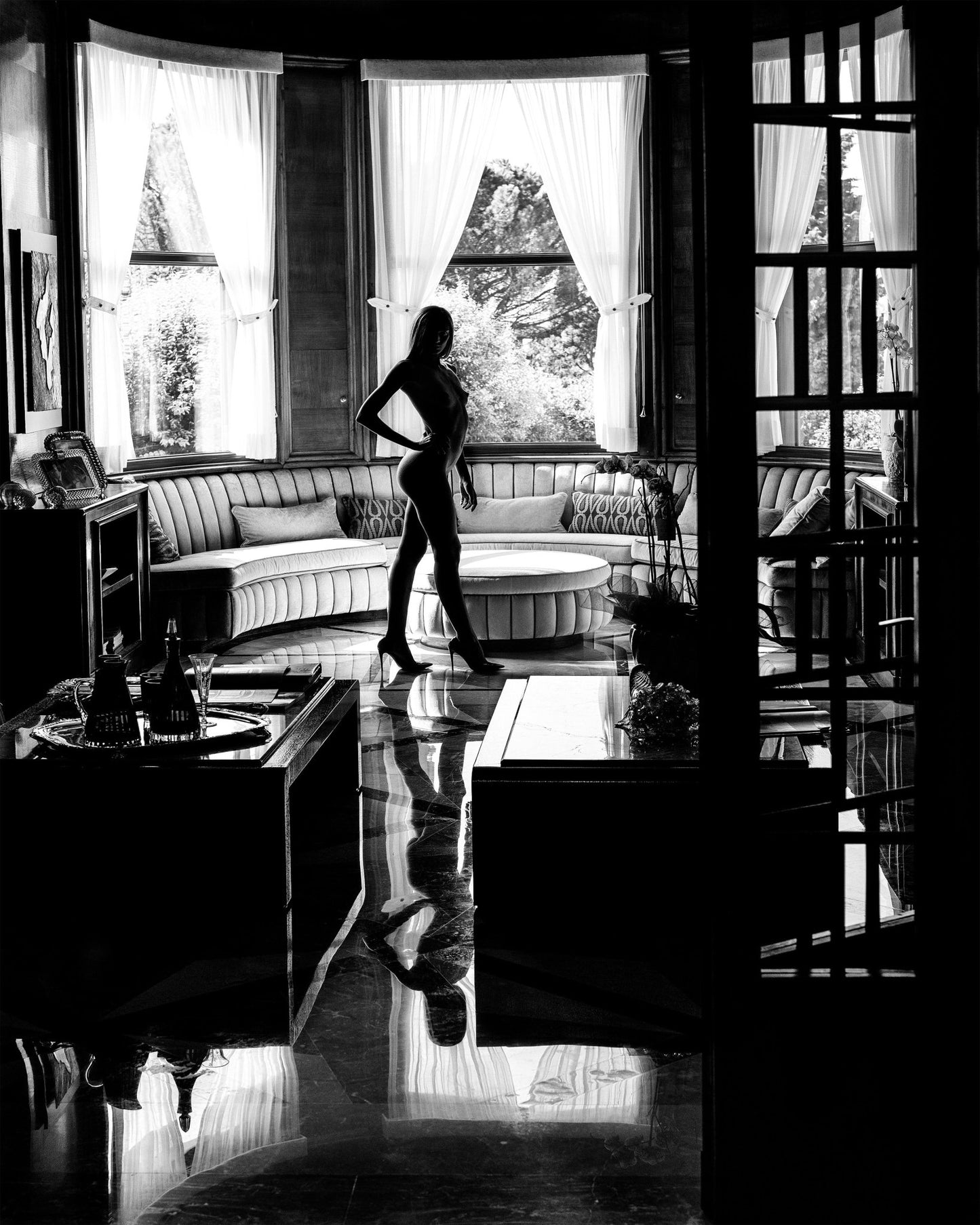 Dark Reflection