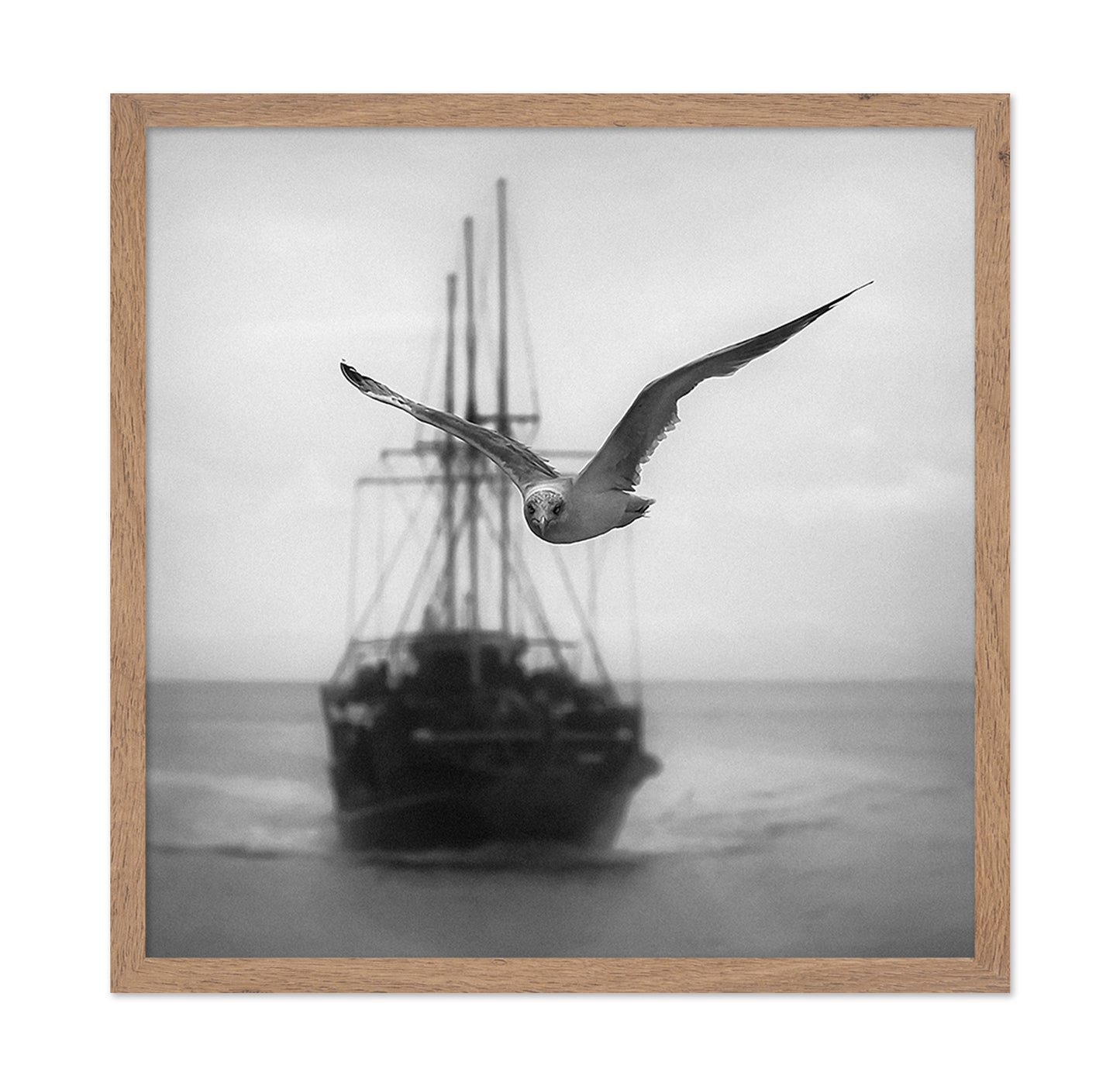 Seagull
