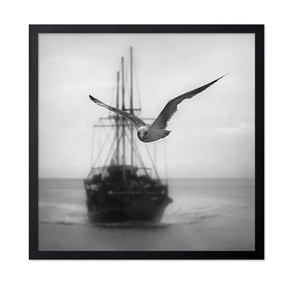 Seagull