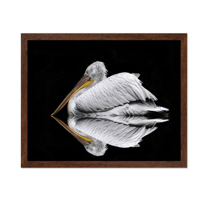 Mirrored The Pelican
