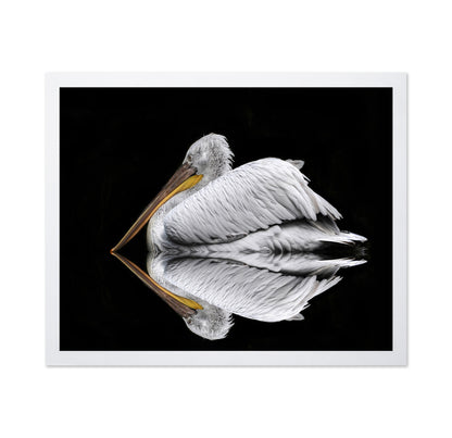 Mirrored The Pelican