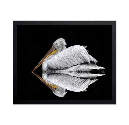 Mirrored The Pelican