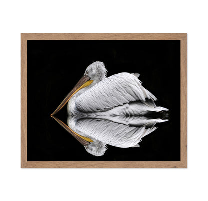 Mirrored The Pelican