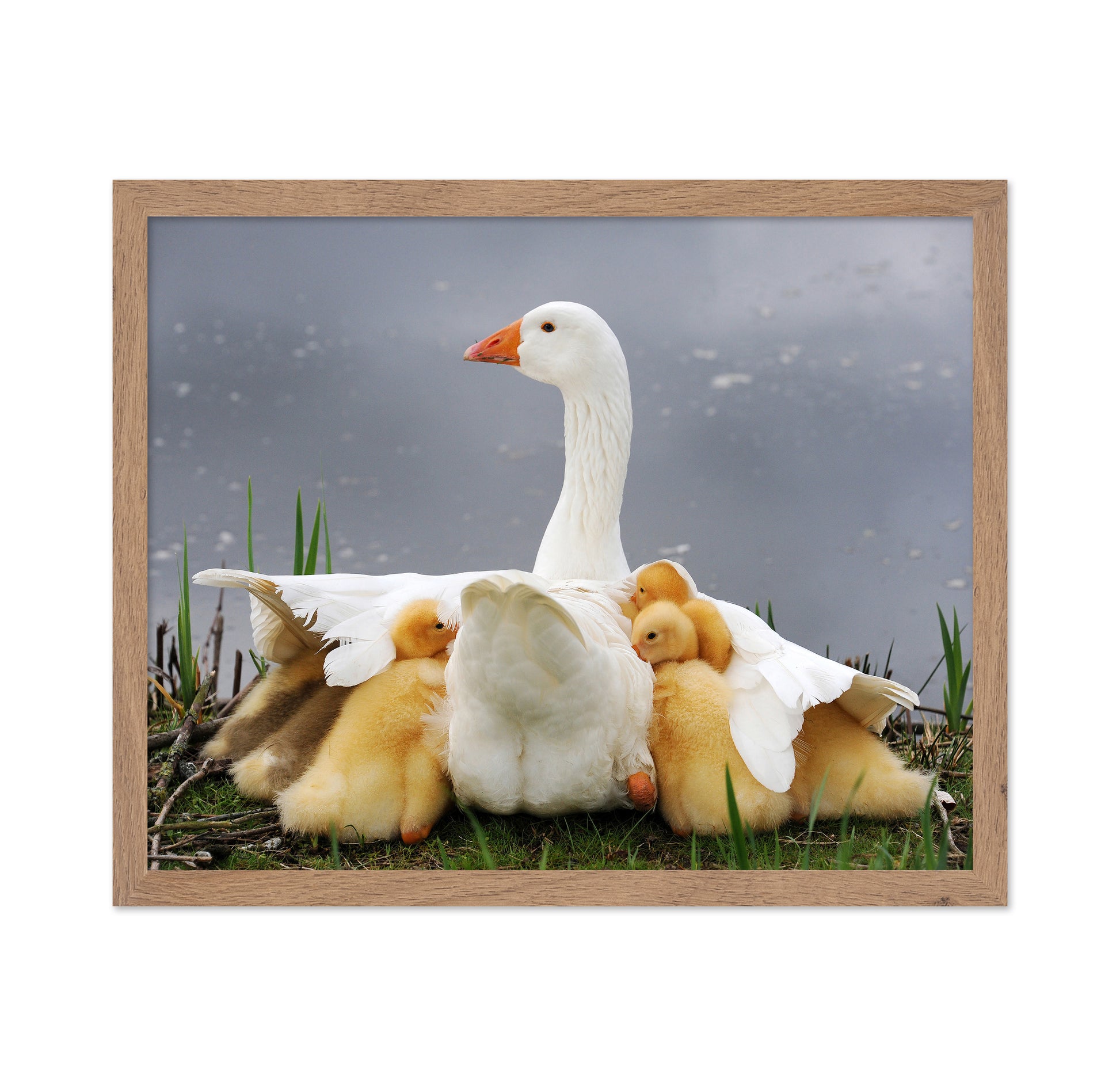 Mum's Protection