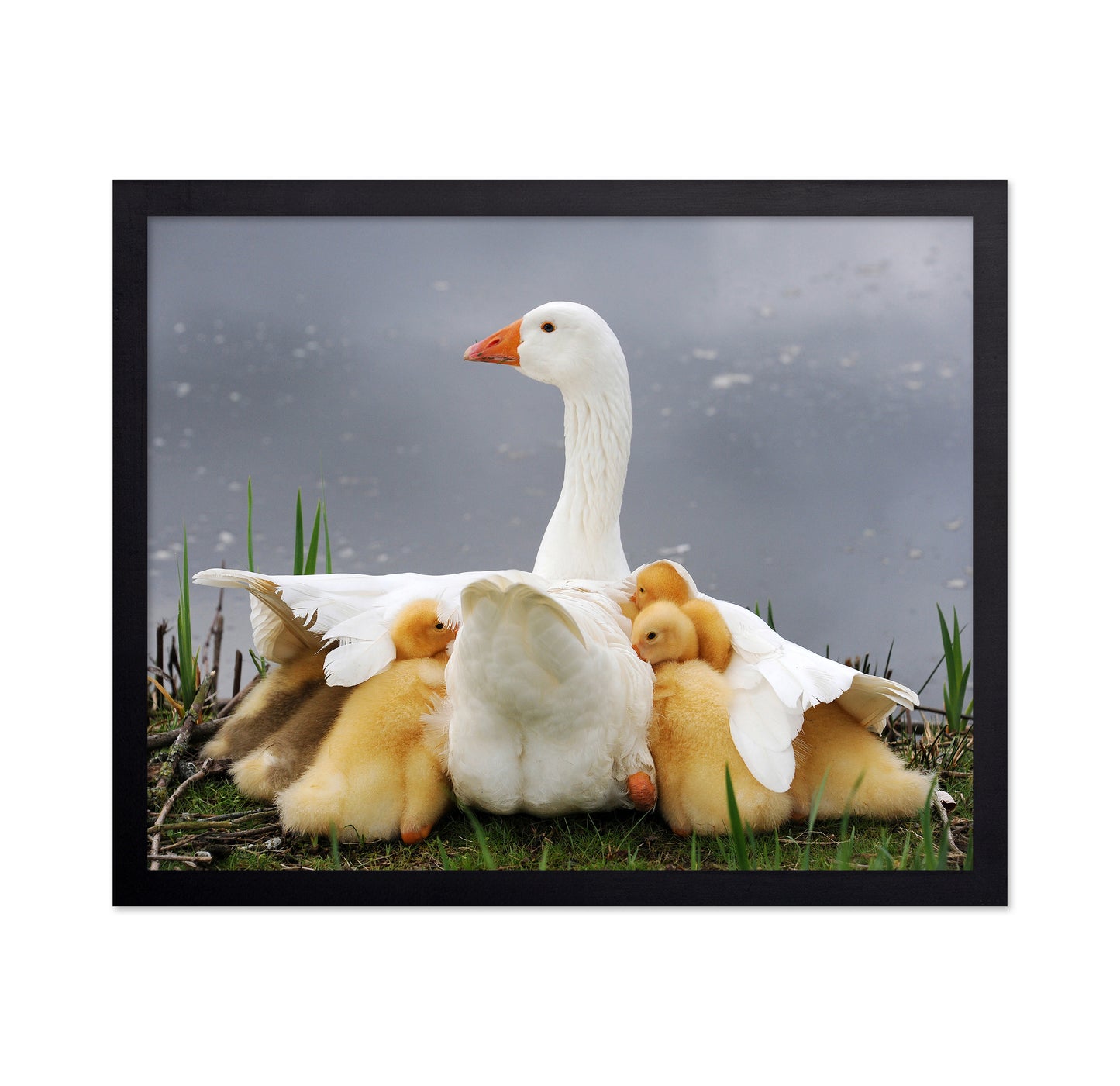 Mum's Protection