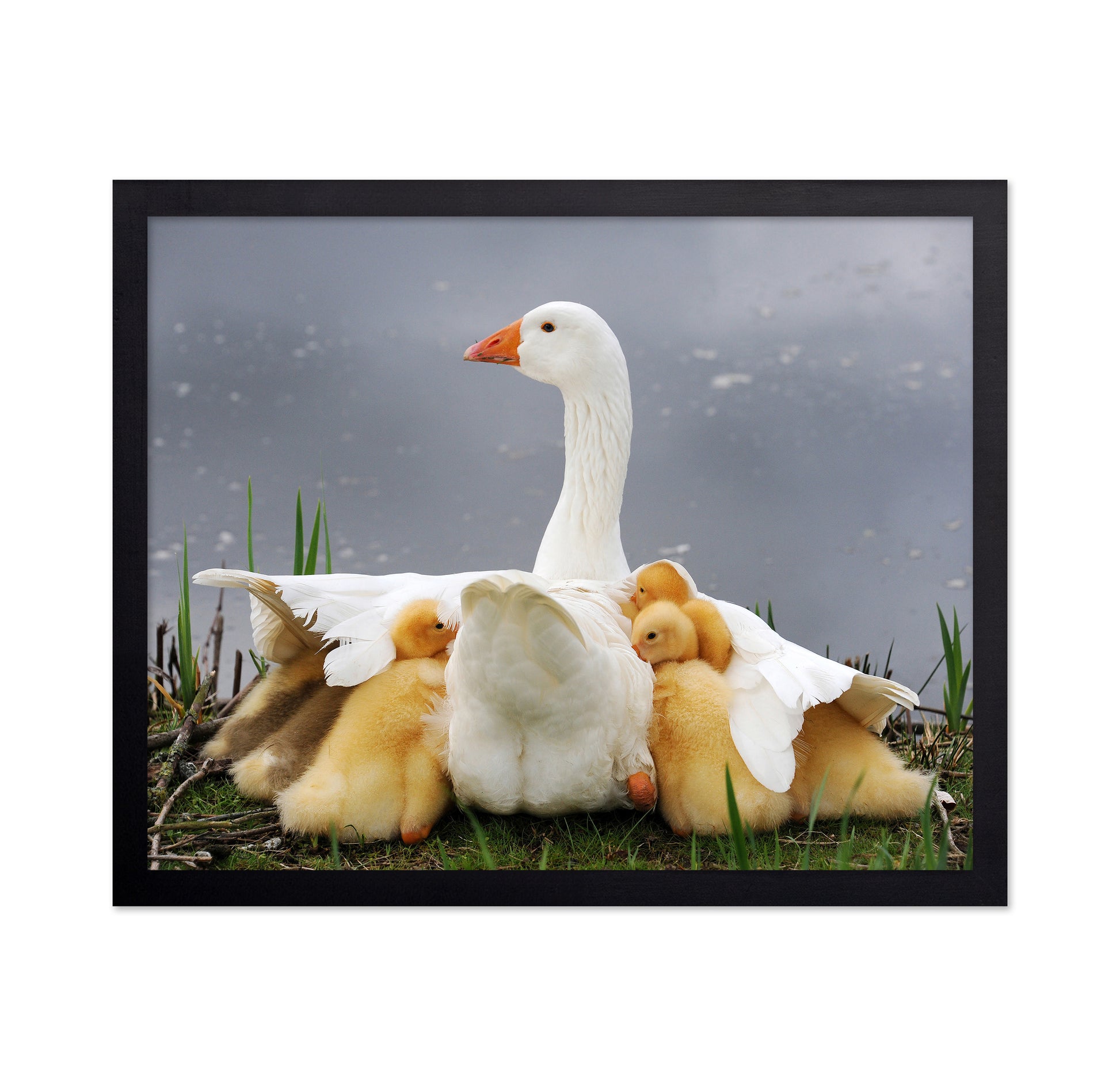 Mum's Protection
