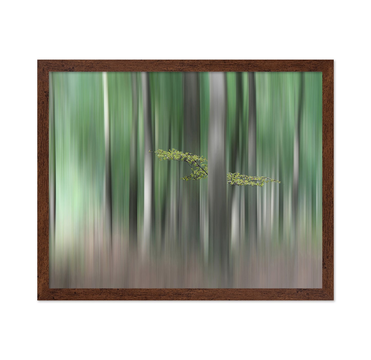 Summermorning