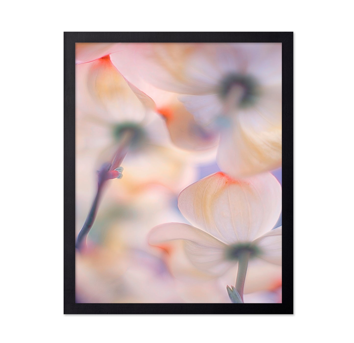 Under The Skirts Of Flowers