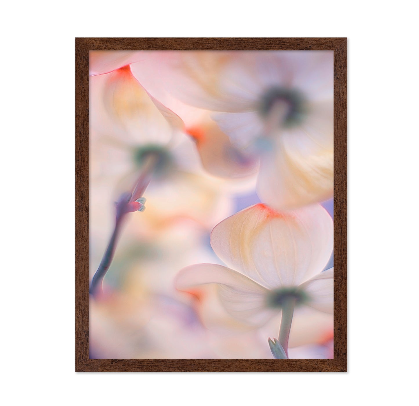 Under The Skirts Of Flowers