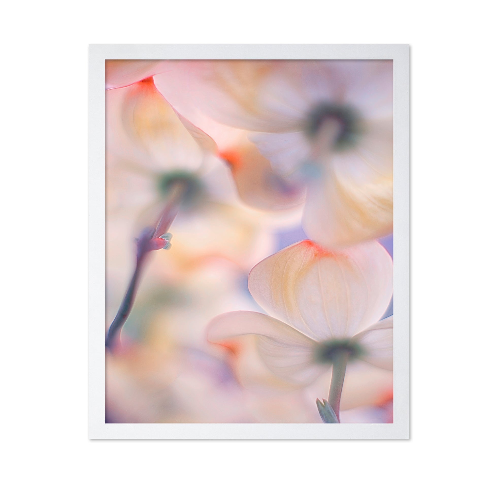 Under The Skirts Of Flowers