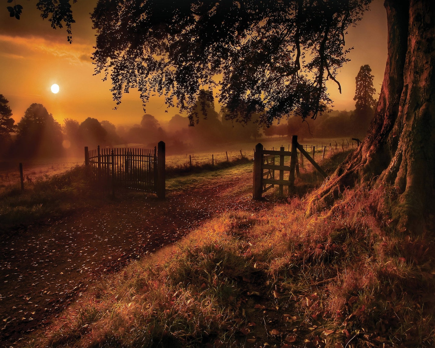 Autumn Sunrise