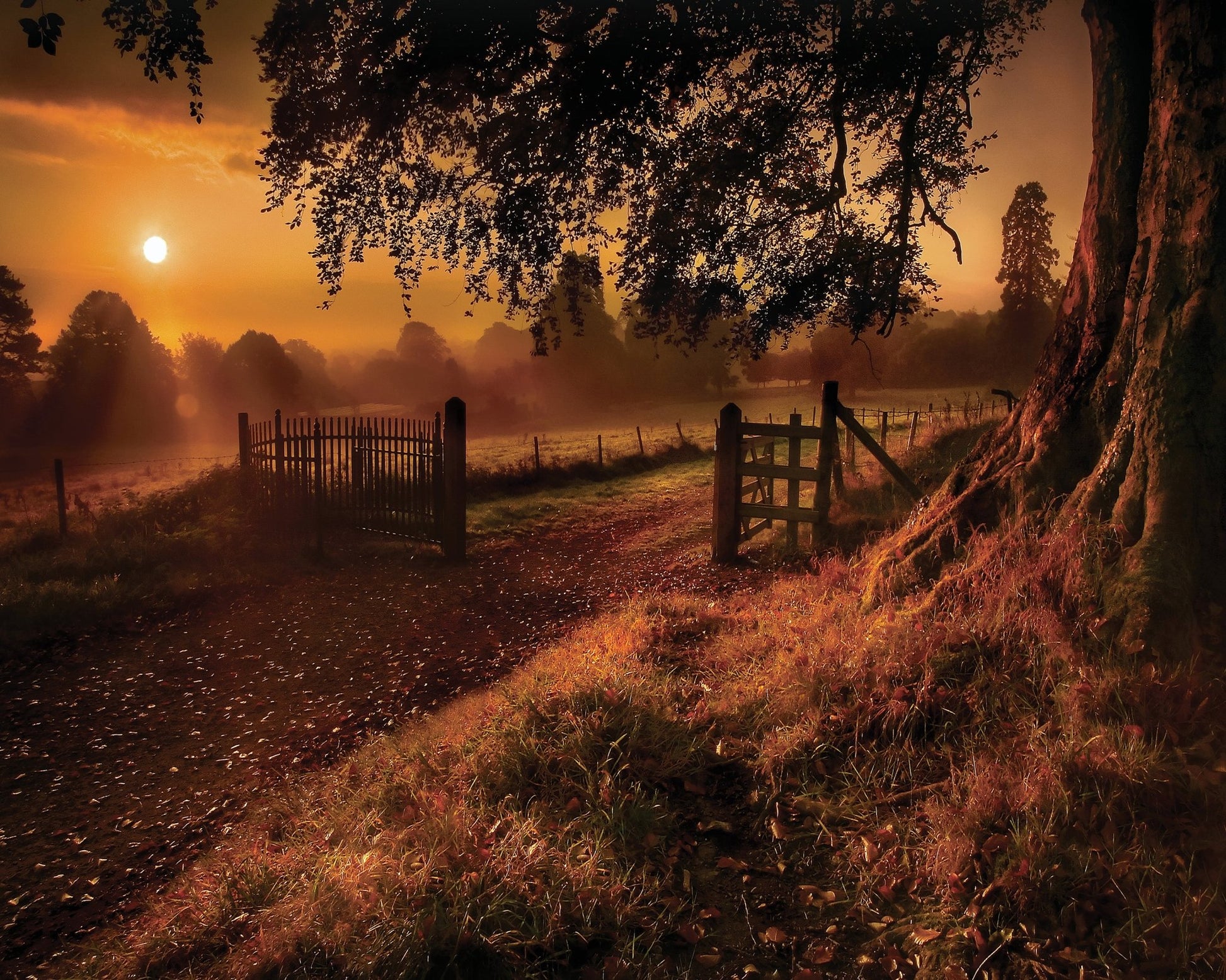 Autumn Sunrise
