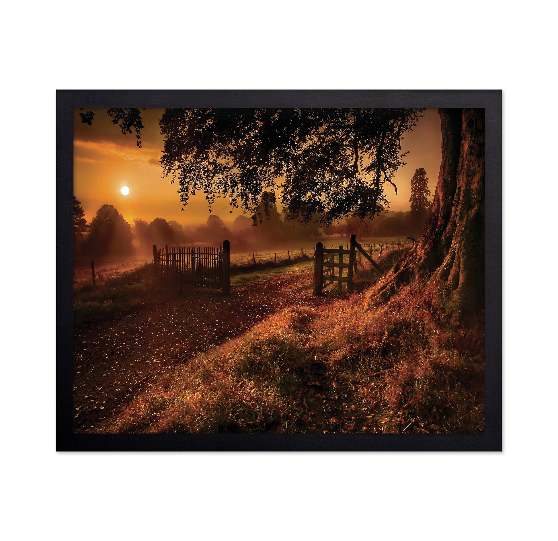 Autumn Sunrise