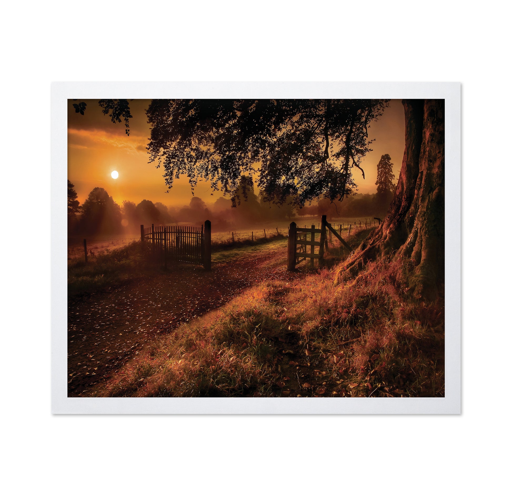 Autumn Sunrise