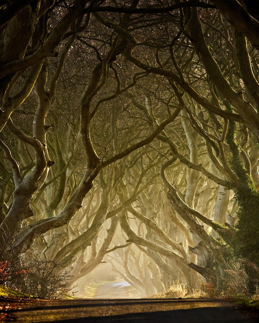 Gateway to the North