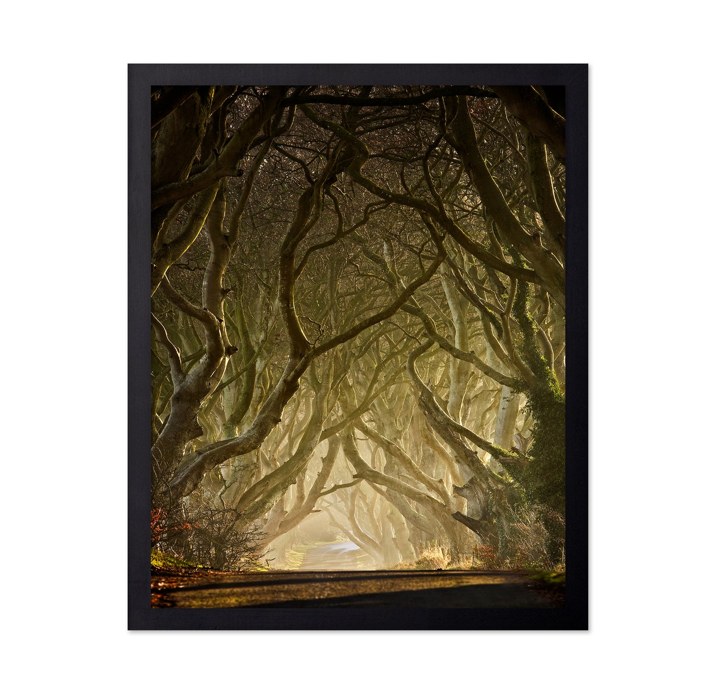 Gateway to the North