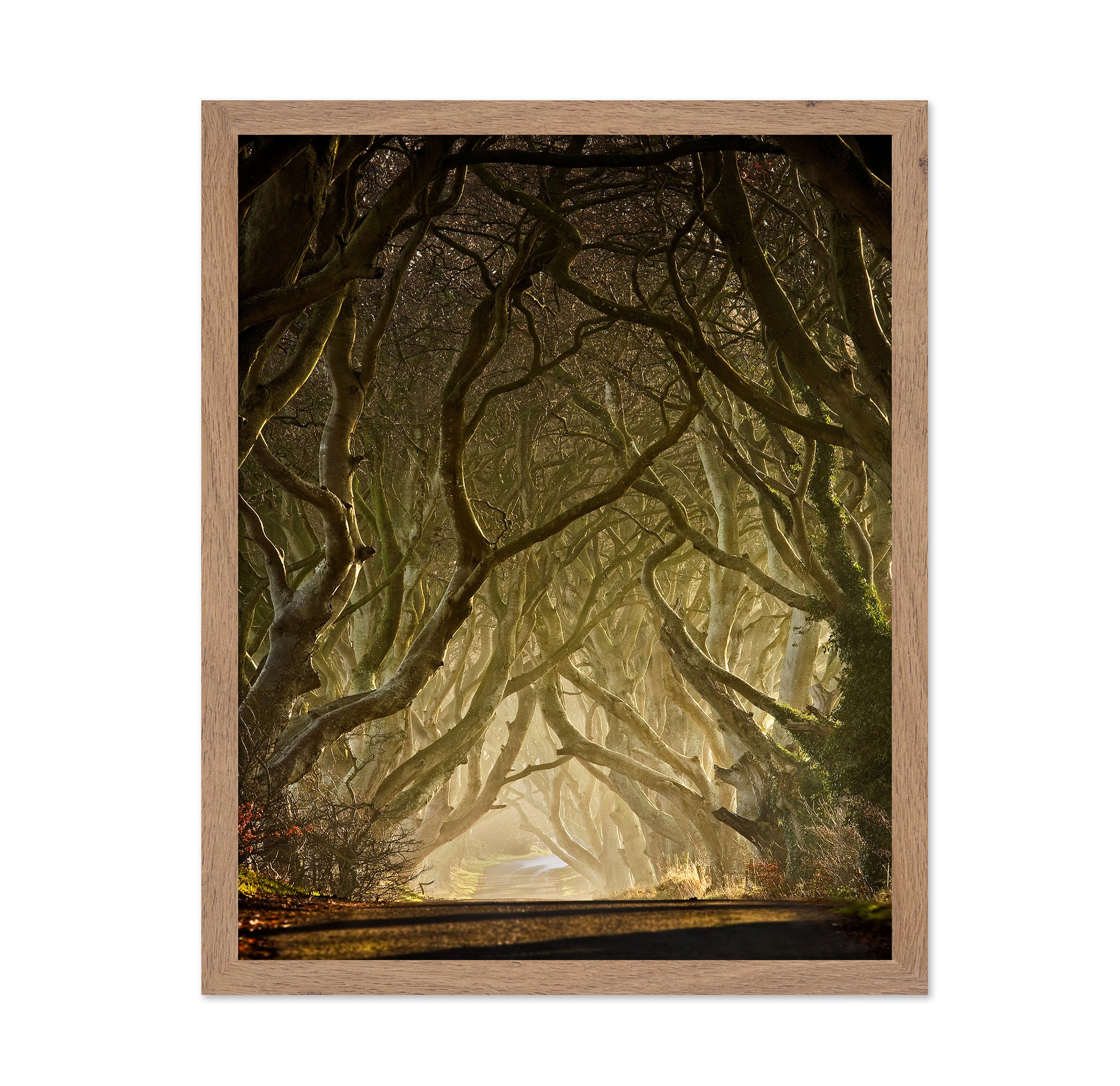 Gateway to the North