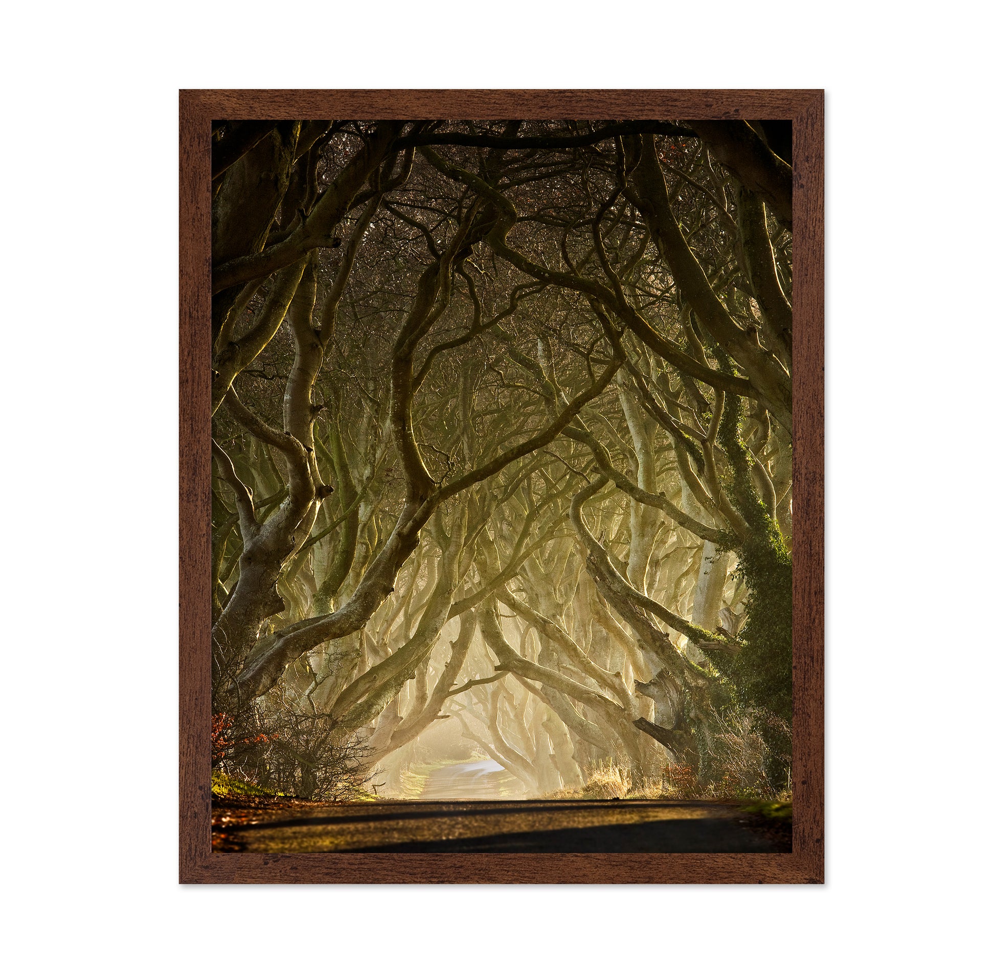 Gateway to the North
