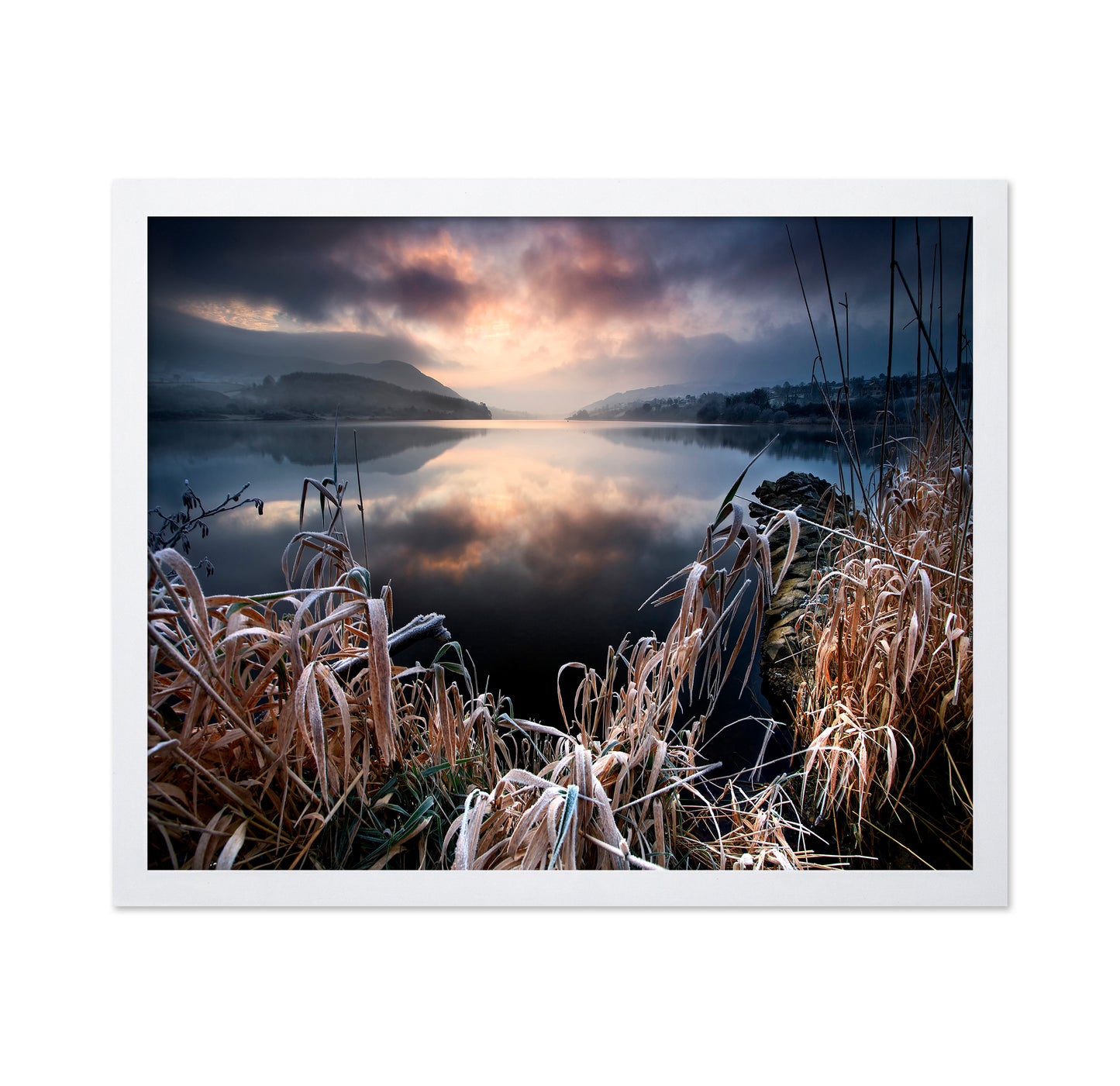 New Years Frost
