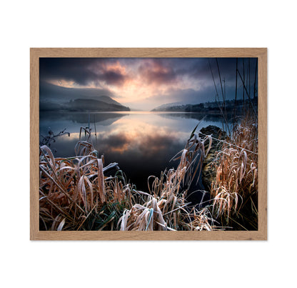 New Years Frost