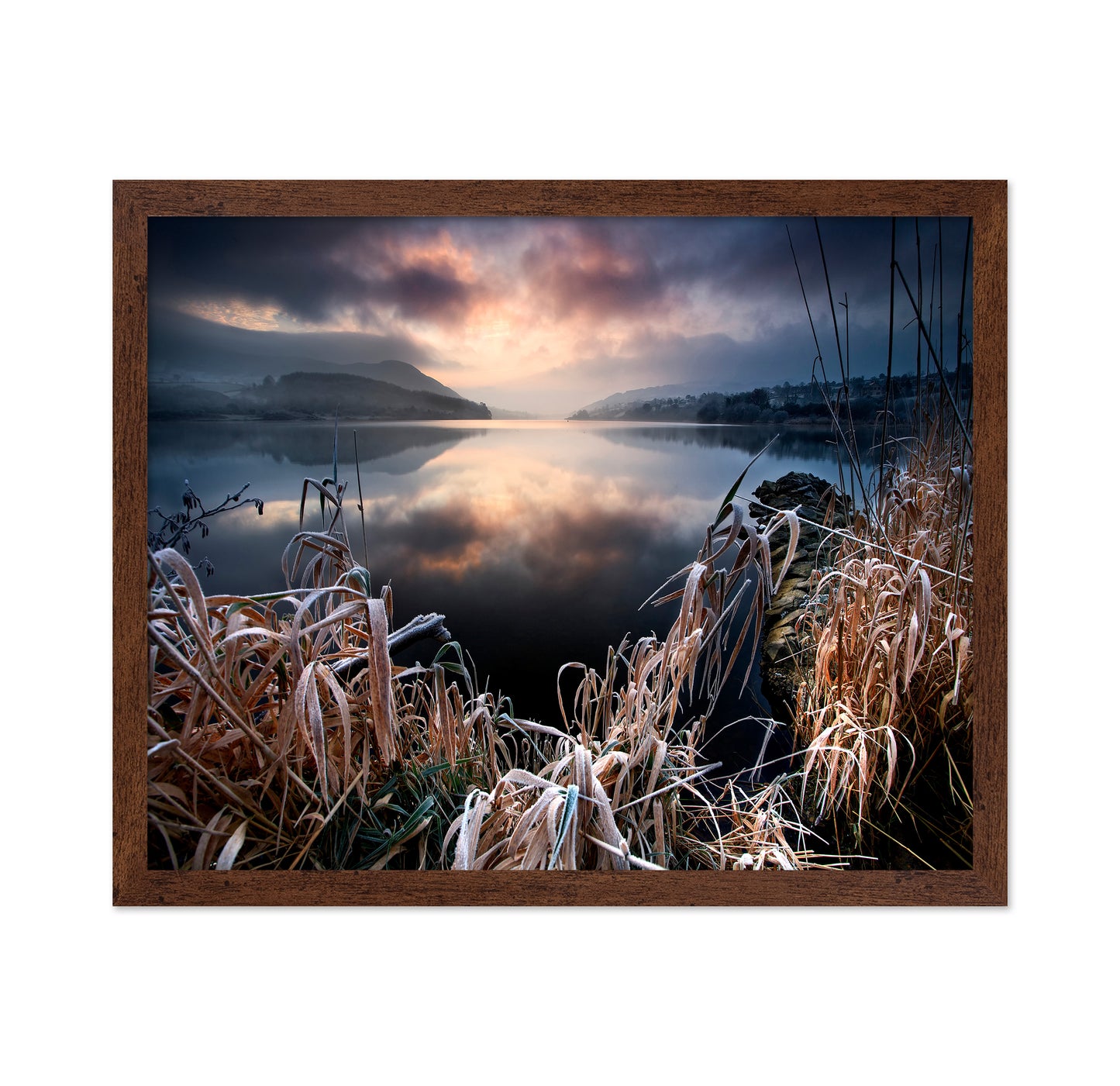 New Years Frost