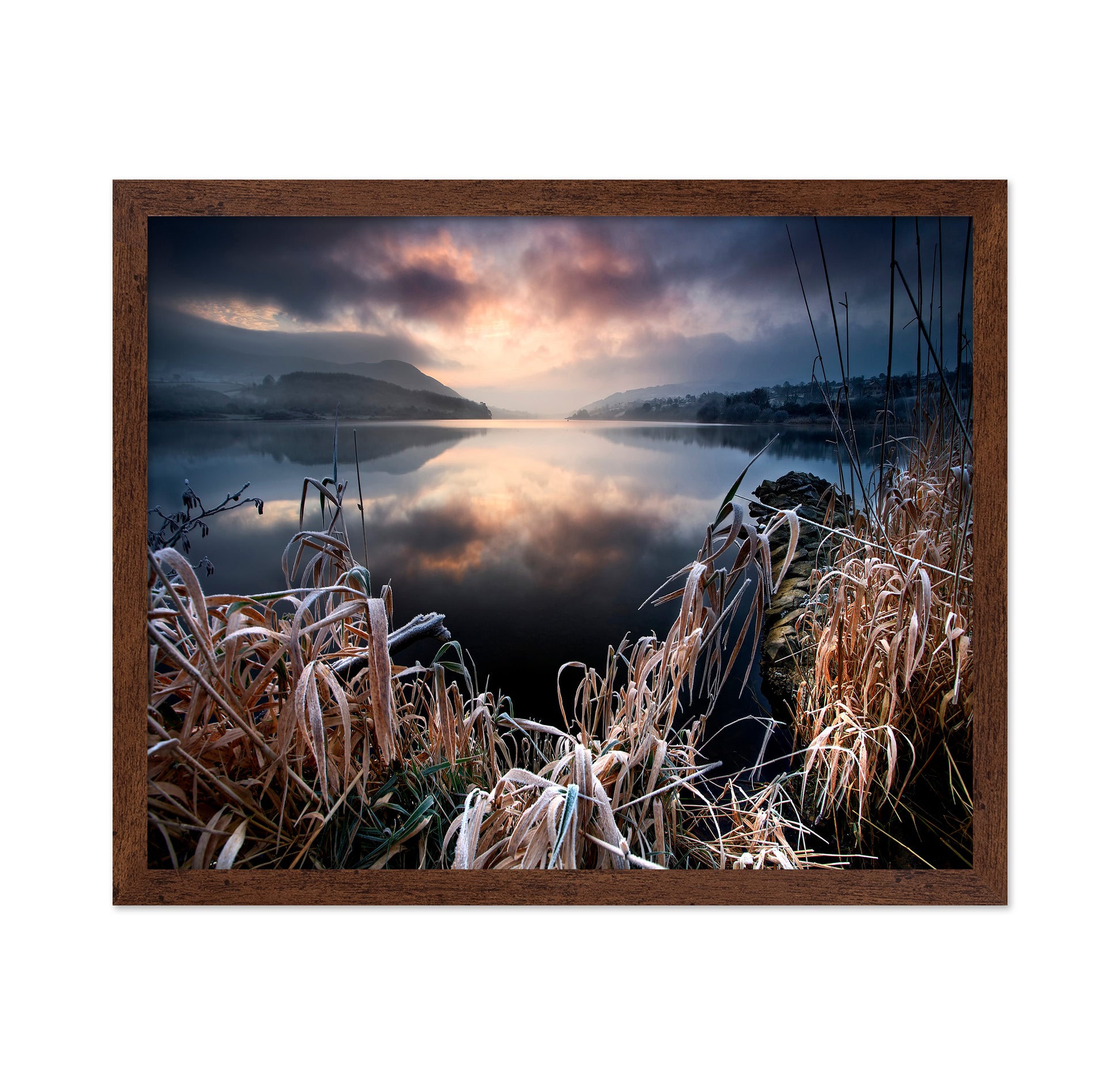 New Years Frost