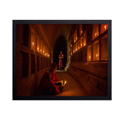 The Novices