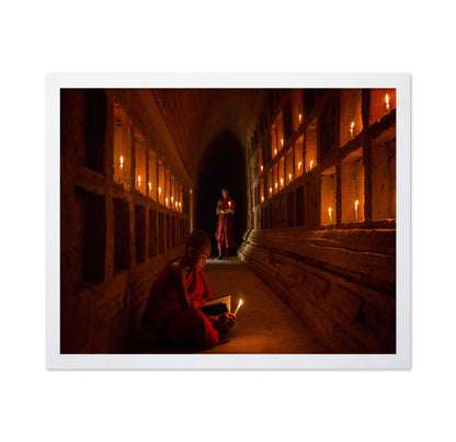 The Novices