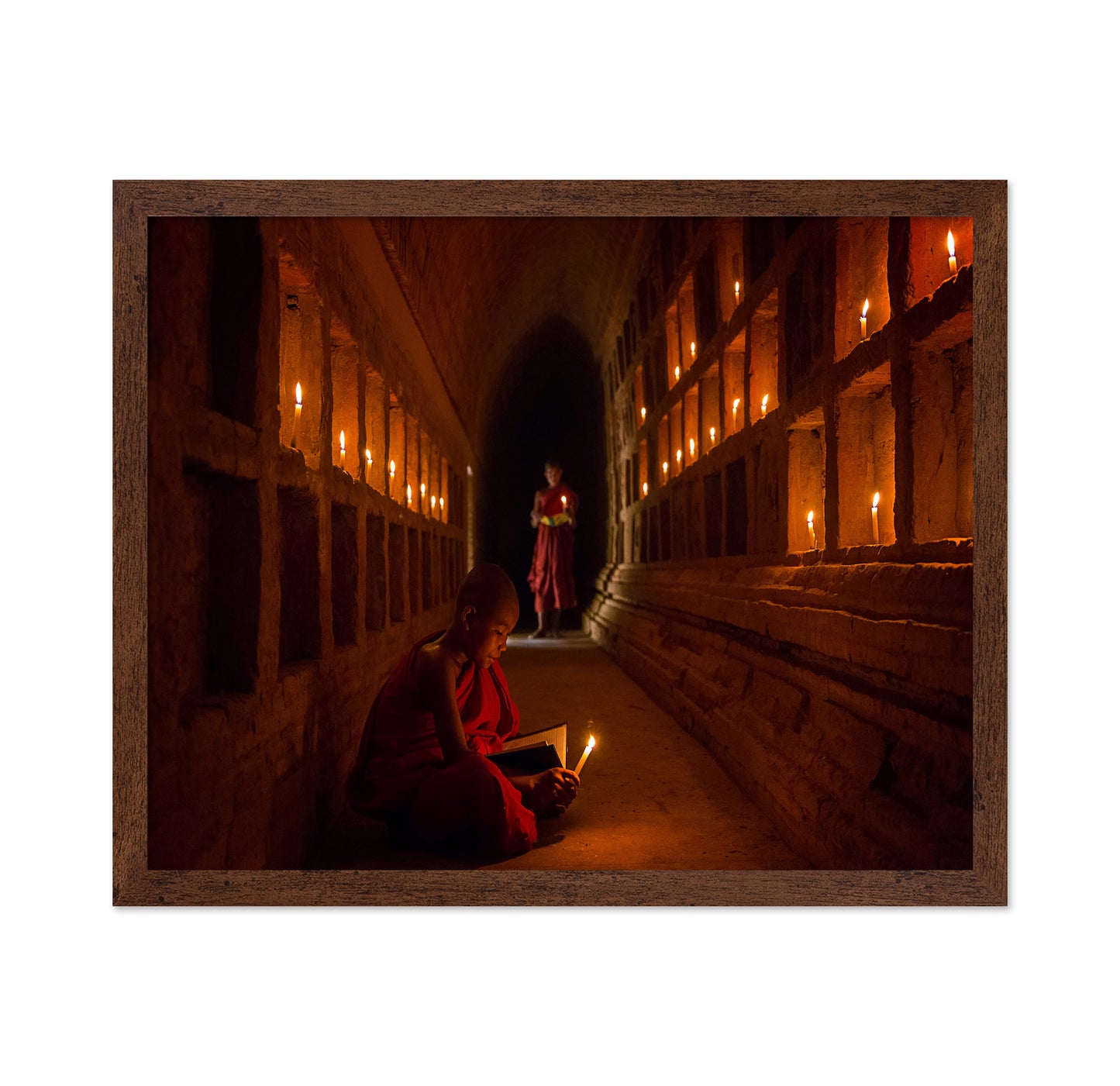 The Novices