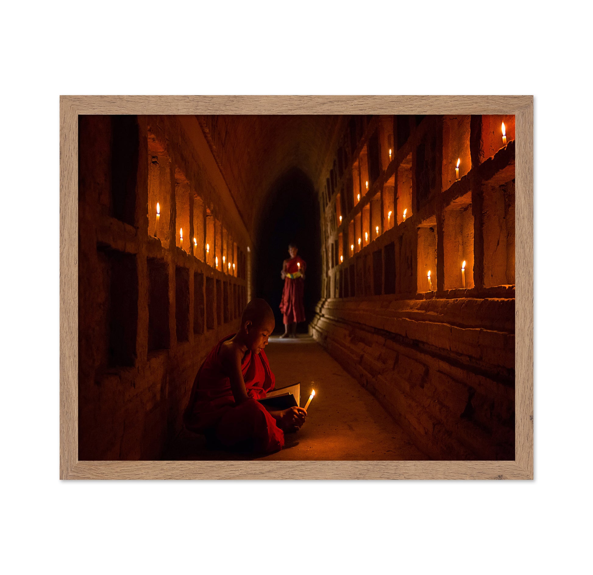 The Novices