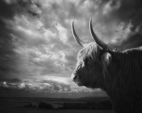 The Highlands