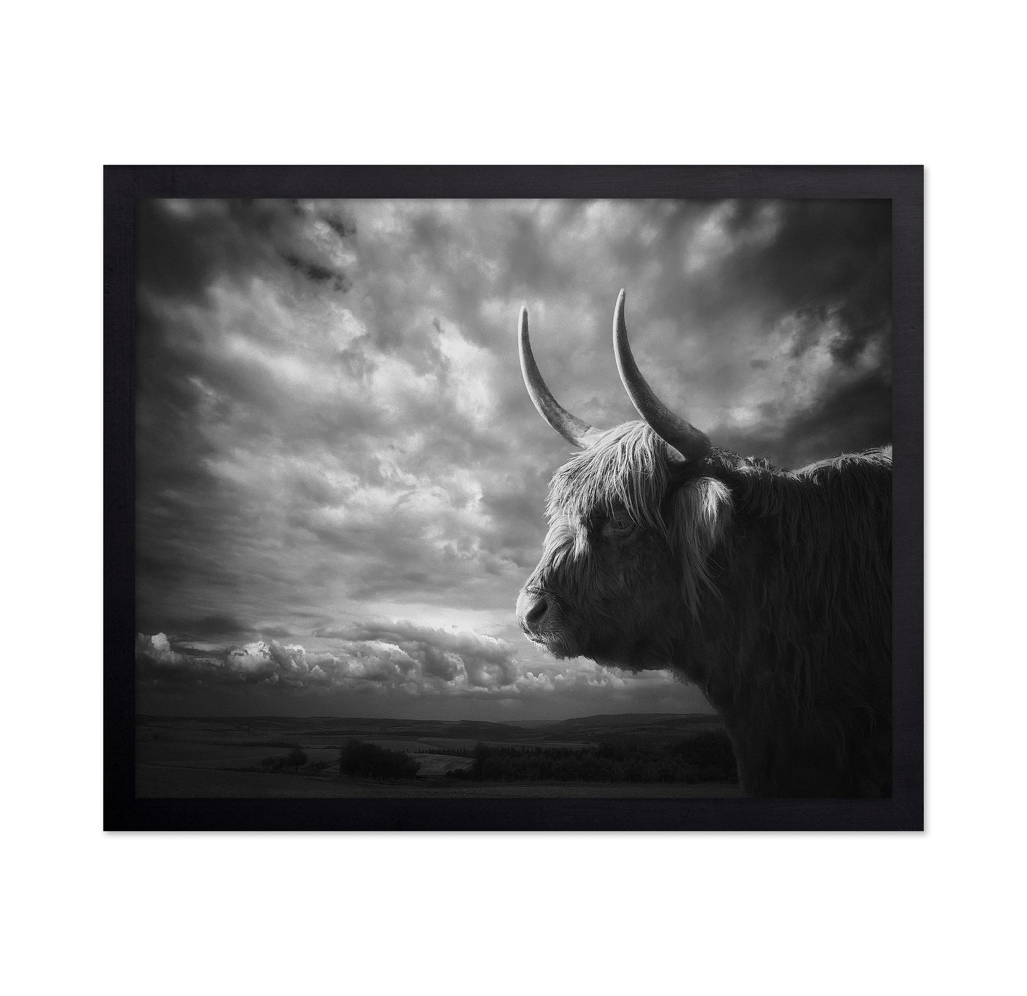 The Highlands