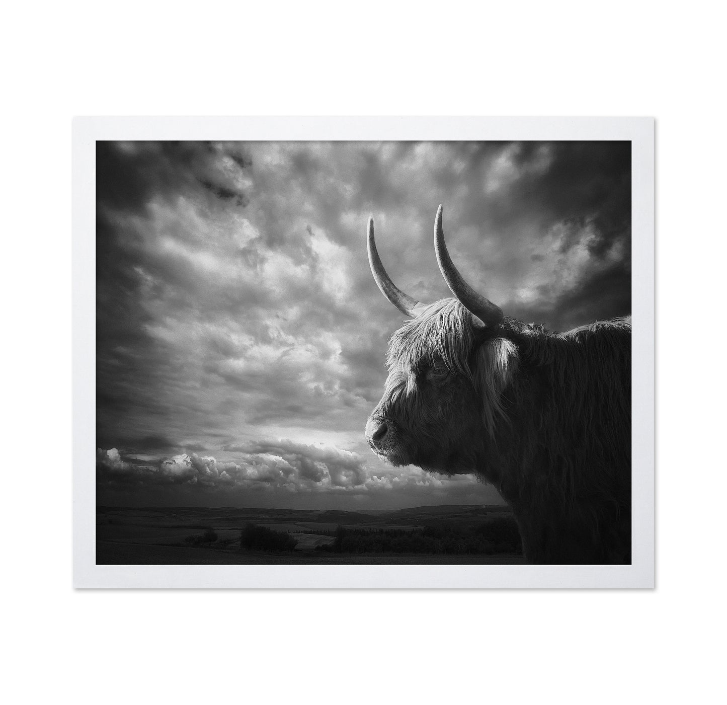 The Highlands
