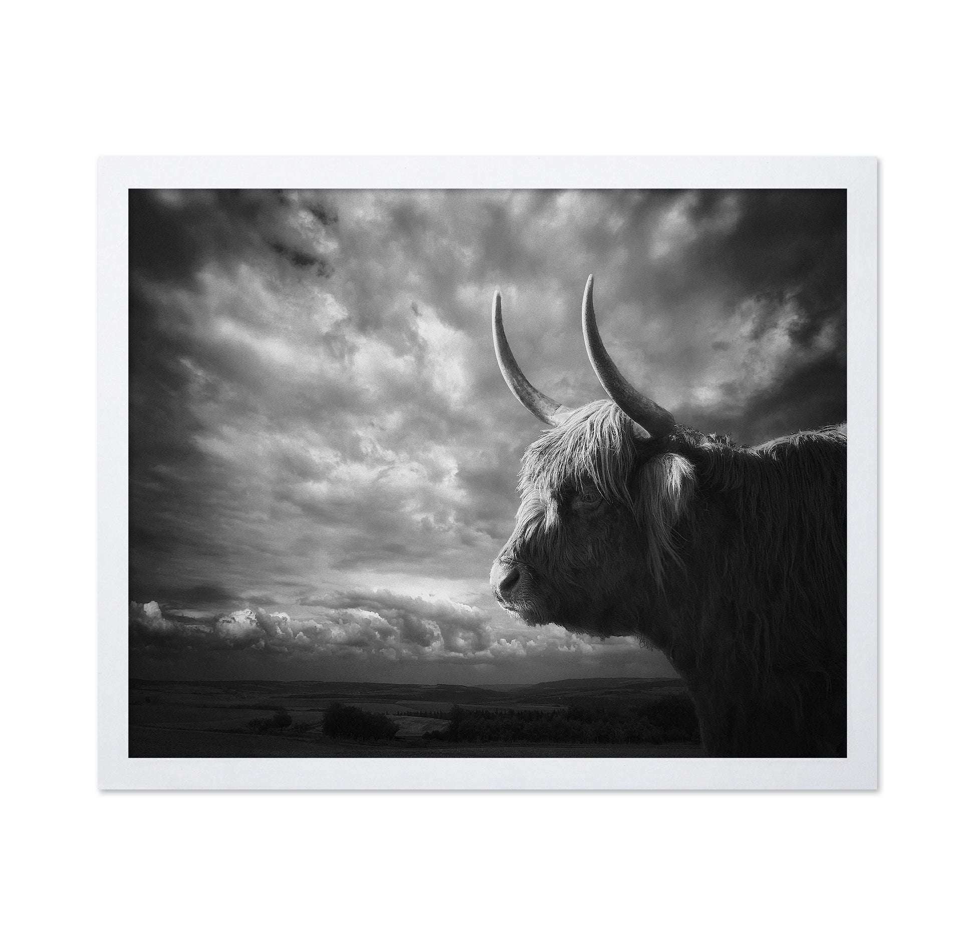 The Highlands