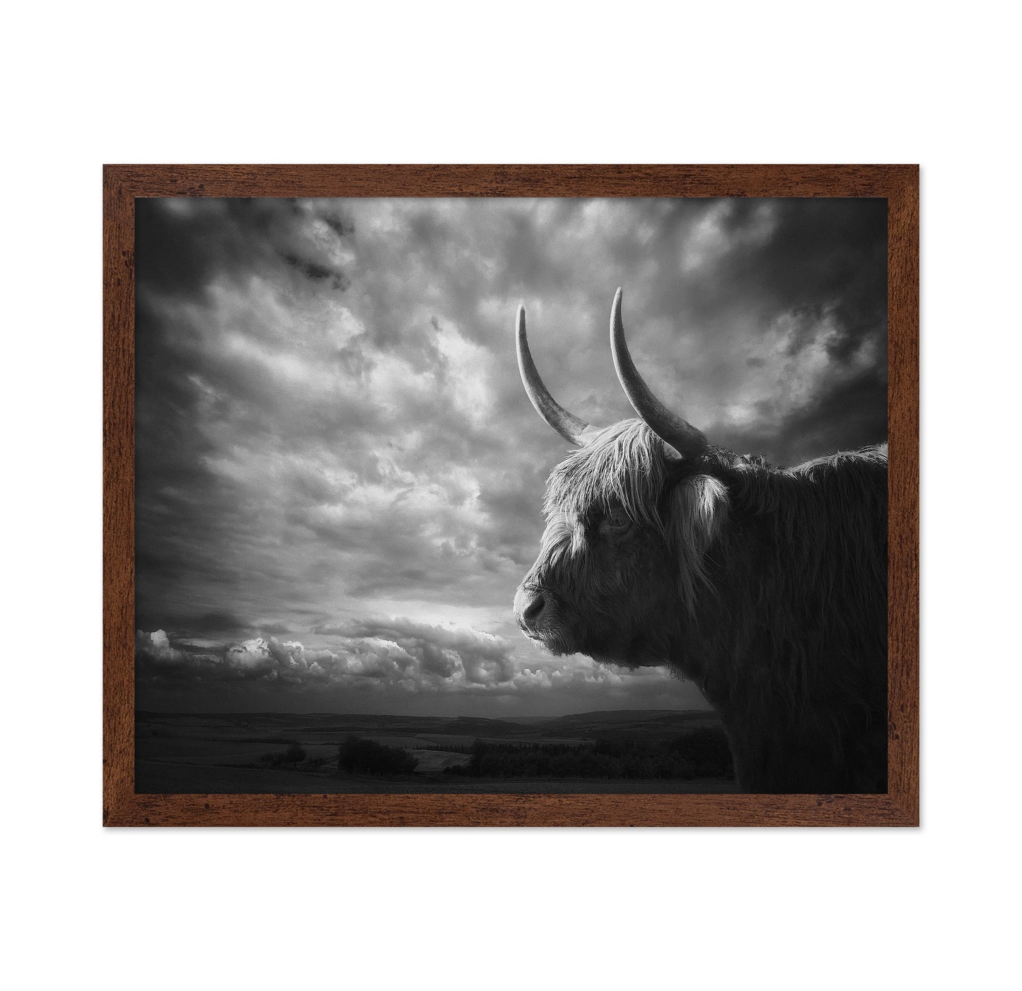 The Highlands