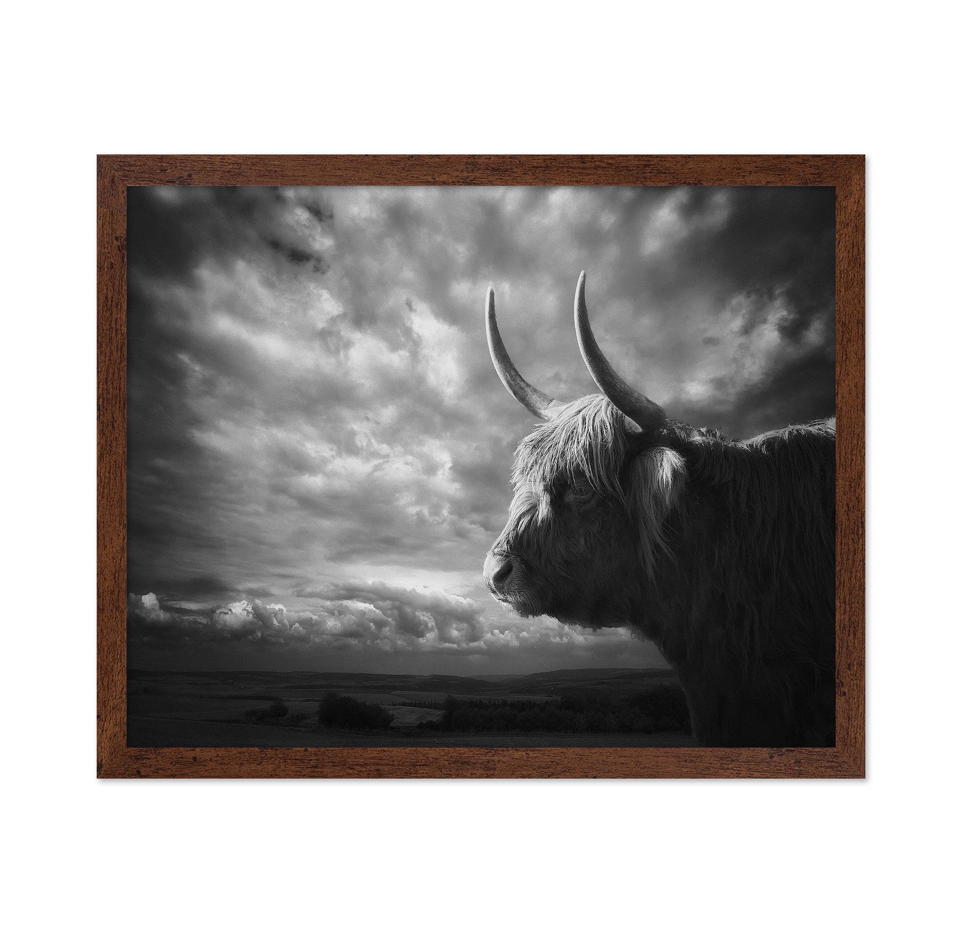 The Highlands
