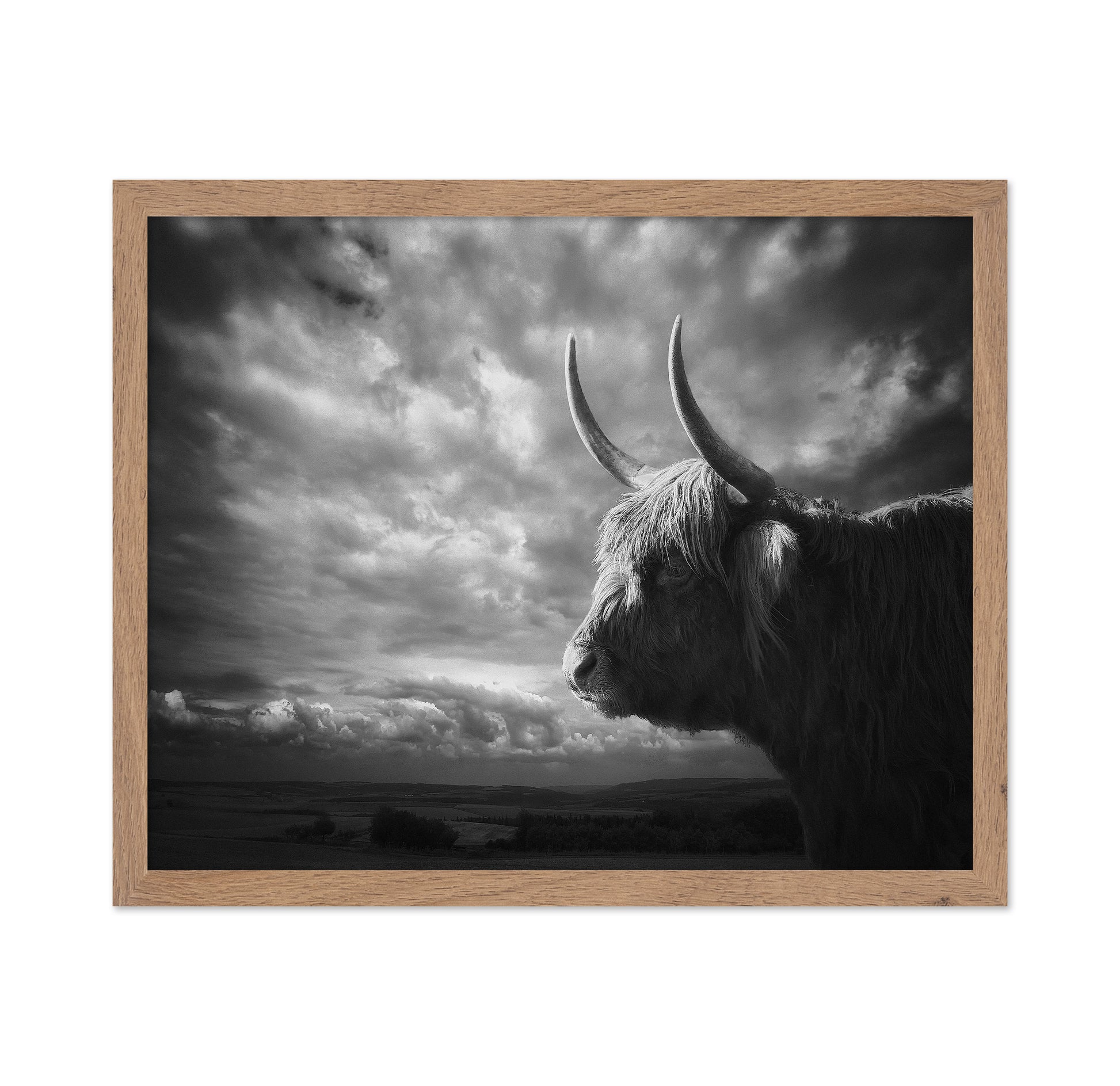 The Highlands