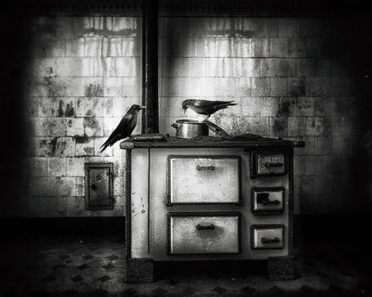 The Kitchen Is Very Good Today