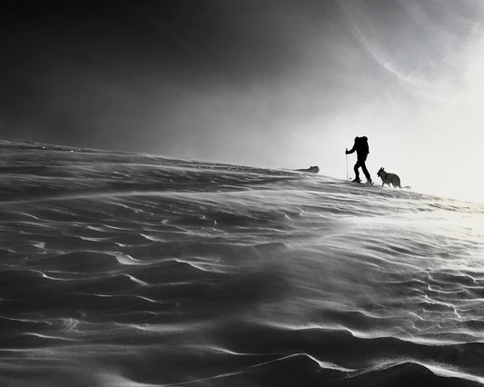 Against The Wind